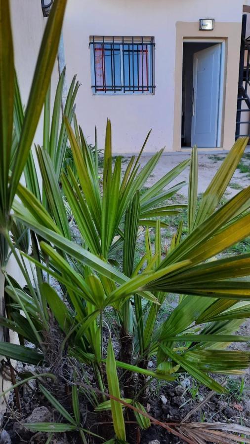 Apartament Depto. Cedelu Concepción del Uruguay Zewnętrze zdjęcie
